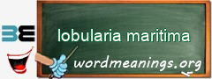 WordMeaning blackboard for lobularia maritima